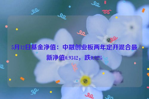 5月12日基金净值：中融创业板两年定开混合最新净值0.9342，跌0.92%