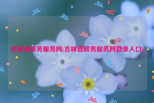 吉林省政务服务网(吉林省政务服务网登录入口)