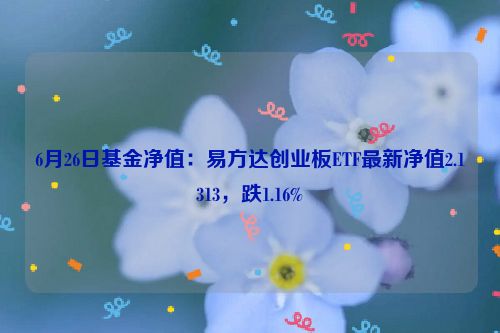 6月26日基金净值：易方达创业板ETF最新净值2.1313，跌1.16%