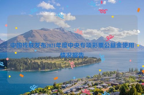 中国残联发布2021年度中央专项彩票公益金使用情况报告