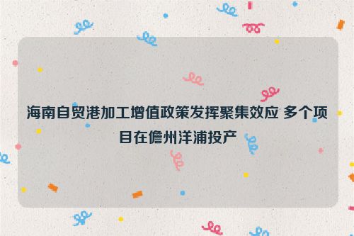 海南自贸港加工增值政策发挥聚集效应 多个项目在儋州洋浦投产