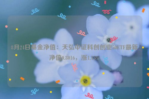 8月24日基金净值：天弘中证科创创业50ETF最新净值0.8016，涨1.15%