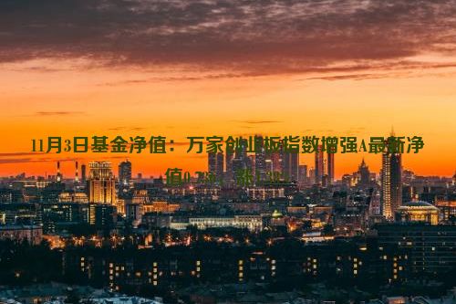 11月3日基金净值：万家创业板指数增强A最新净值0.736，涨1.38%