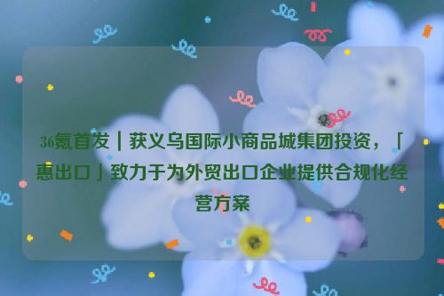 36氪首发｜获义乌国际小商品城集团投资，「惠出口」致力于为外贸出口企业提供合规化经营方案