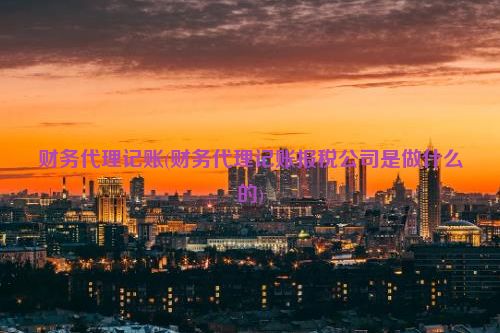 财务代理记账(财务代理记账报税公司是做什么的)