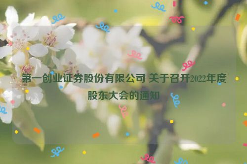 第一创业证券股份有限公司 关于召开2022年度股东大会的通知