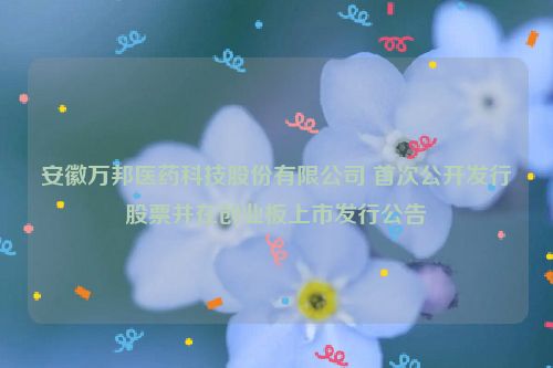 安徽万邦医药科技股份有限公司 首次公开发行股票并在创业板上市发行公告