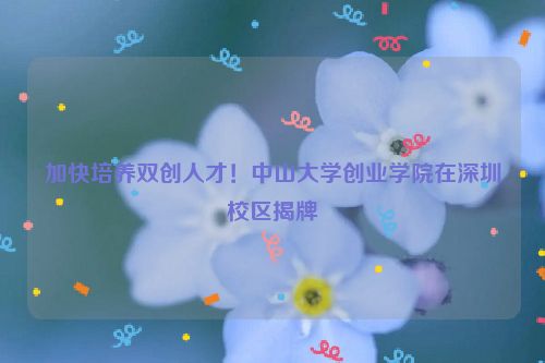 加快培养双创人才！中山大学创业学院在深圳校区揭牌