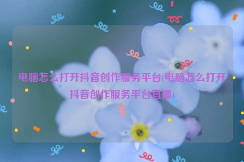 电脑怎么打开抖音创作服务平台(电脑怎么打开抖音创作服务平台直播)