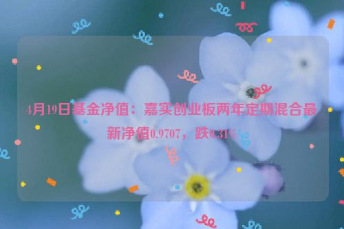 4月19日基金净值：嘉实创业板两年定期混合最新净值0.9707，跌0.31%