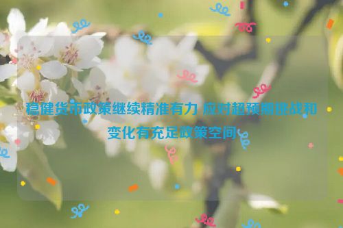 稳健货币政策继续精准有力 应对超预期挑战和变化有充足政策空间