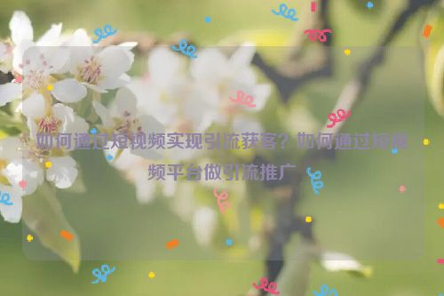 如何通过短视频实现引流获客？如何通过短视频平台做引流推广