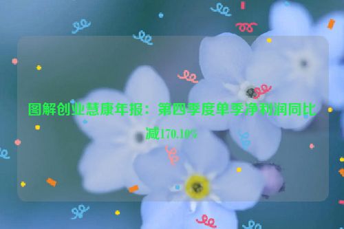 图解创业慧康年报：第四季度单季净利润同比减170.10%