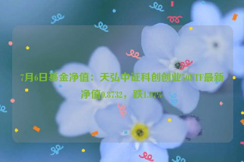 7月6日基金净值：天弘中证科创创业50ETF最新净值0.8732，跌1.07%