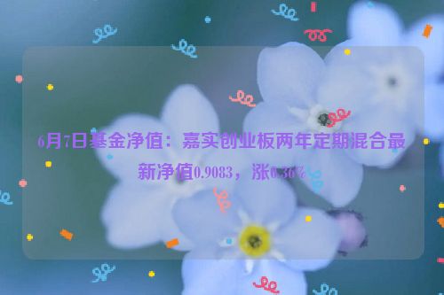 6月7日基金净值：嘉实创业板两年定期混合最新净值0.9083，涨0.36%