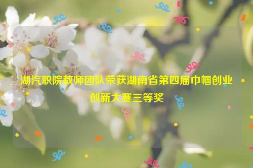 湖汽职院教师团队荣获湖南省第四届巾帼创业创新大赛三等奖