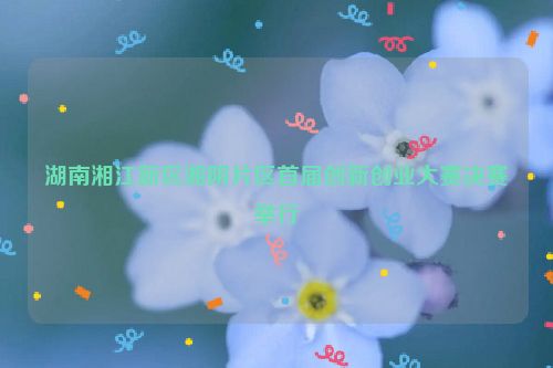 湖南湘江新区湘阴片区首届创新创业大赛决赛举行