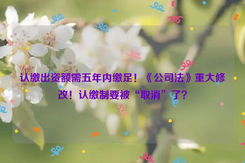 认缴出资额需五年内缴足！《公司法》重大修改！认缴制要被“取消”了？