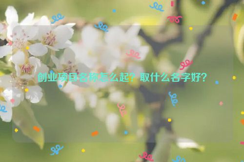 创业项目名称怎么起？取什么名字好？