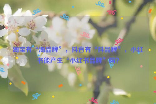 淘宝有“淘品牌”，抖音有“抖品牌”，小红书能产生“小红书品牌”吗？