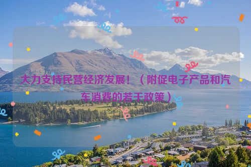 大力支持民营经济发展！（附促电子产品和汽车消费的若干政策）