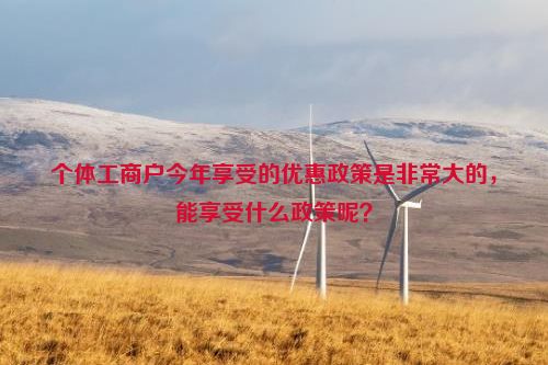 个体工商户今年享受的优惠政策是非常大的，能享受什么政策呢？