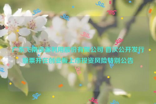 广东飞南资源利用股份有限公司 首次公开发行股票并在创业板上市投资风险特别公告