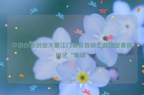 中国创新创业大赛江门赛区晋级企业接受赛前强化“集训”