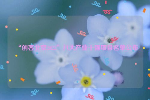 “创客北京2022”八大产业十强项目名单公布