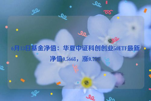 6月13日基金净值：华夏中证科创创业50ETF最新净值0.5668，涨0.75%