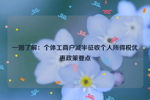 一图了解：个体工商户减半征收个人所得税优惠政策要点