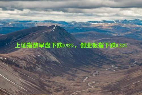 上证指数早盘下跌0.92%，创业板指下跌0.23%