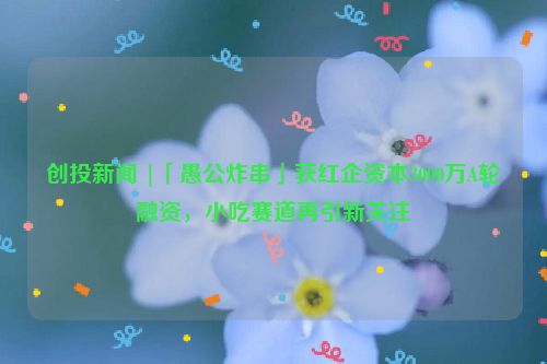 创投新闻 |「愚公炸串」获红企资本3000万A轮融资，小吃赛道再引新关注