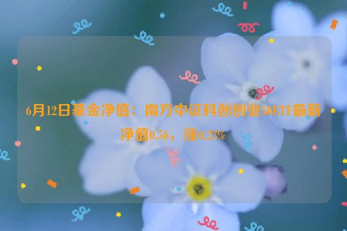 6月12日基金净值：南方中证科创创业50ETF最新净值0.56，涨0.23%