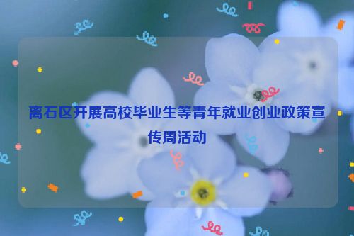 离石区开展高校毕业生等青年就业创业政策宣传周活动