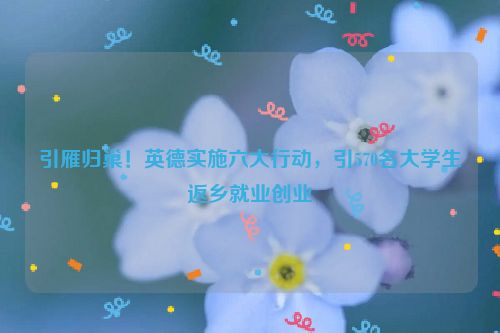 引雁归巢！英德实施六大行动，引570名大学生返乡就业创业