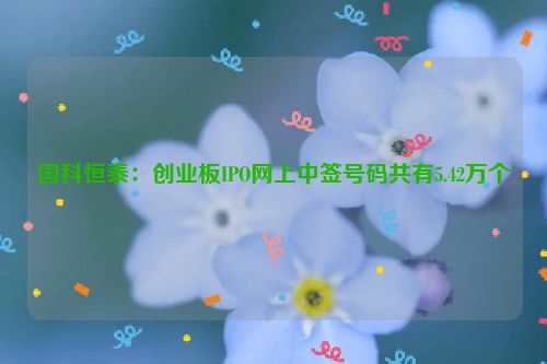 国科恒泰：创业板IPO网上中签号码共有5.42万个