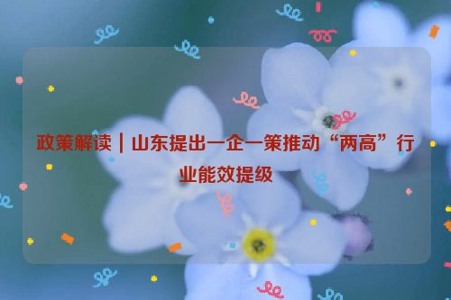 政策解读｜山东提出一企一策推动“两高”行业能效提级