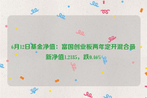 6月12日基金净值：富国创业板两年定开混合最新净值1.2185，跌0.46%