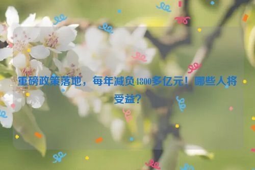 重磅政策落地，每年减负4800多亿元！哪些人将受益？