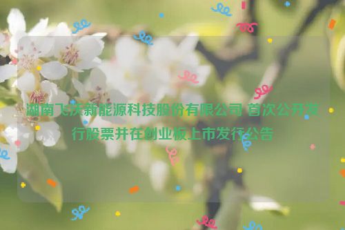 湖南飞沃新能源科技股份有限公司 首次公开发行股票并在创业板上市发行公告