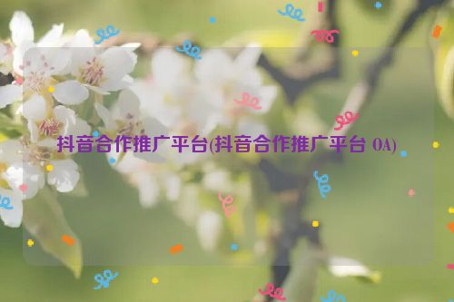 抖音合作推广平台(抖音合作推广平台 OA)